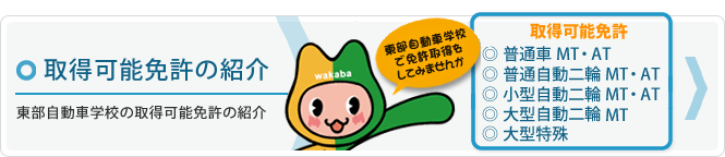 取得可能な免許の紹介、普通車、大型自動二輪、普通自動二輪、小型自動二輪、大型特殊